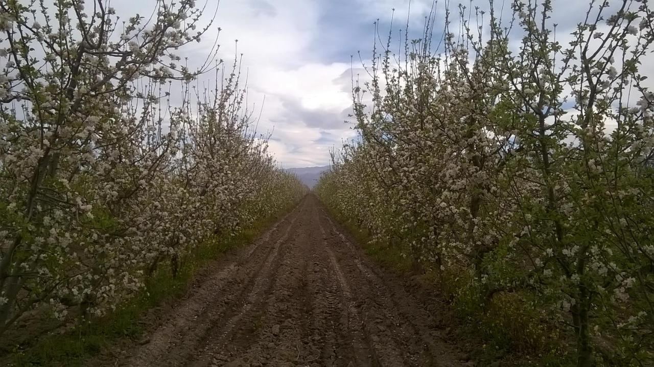 La Consulta Casa De Campo Finca La Superiora מראה חיצוני תמונה
